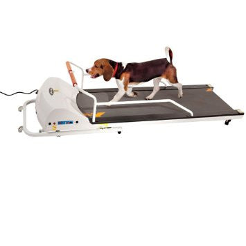 Dog Treadmills